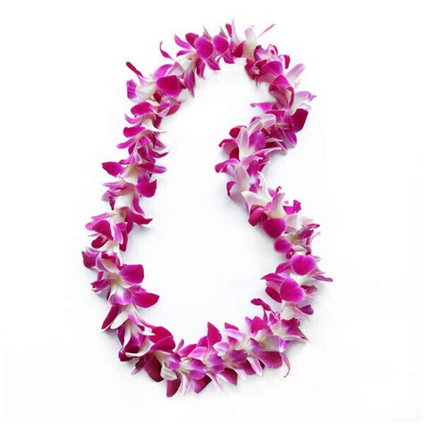 Purple Orchid Lei | No Hidden Fees | Buy Hawaiian Lei