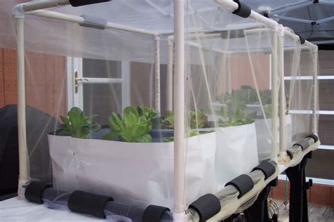 Kratky hydroponic method | " LIVIN SMALL " | Page 2 #HydroponicsGardening | Hydroponic gardening ...