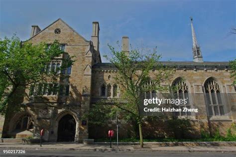 Yale University Colors Photos and Premium High Res Pictures - Getty Images