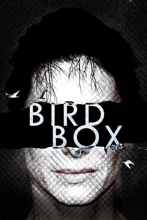 Bird Box (2018) - Posters — The Movie Database (TMDB)