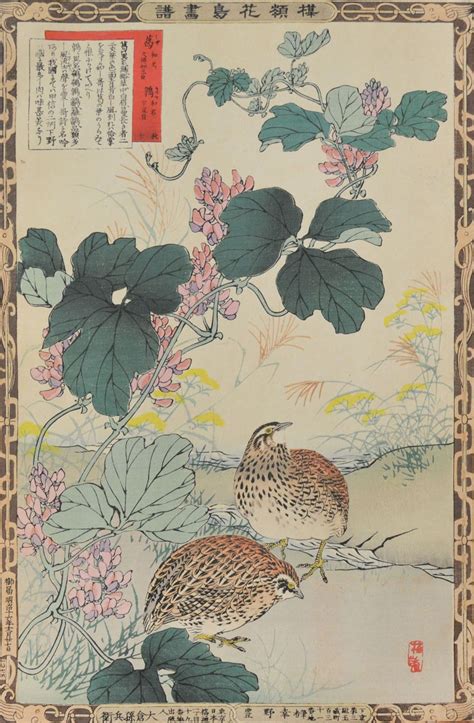 Kudzu Vine and Quails | Japanese woodblock printing, Japanese art, Japanese painting