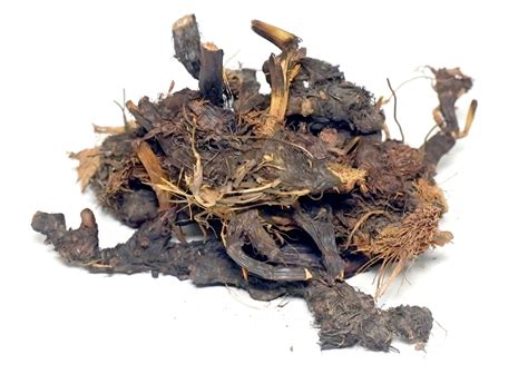 Organic Nagarmotha Roots TBC | Cyperus Rotundus | Cultivator Natural ...