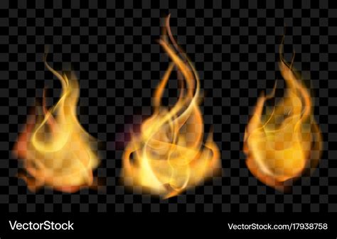 Realistic fire Royalty Free Vector Image - VectorStock