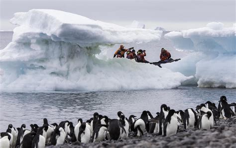 Penguin Mega-Colonies 17 Nights at the South Pole | One Ocean Expeditions