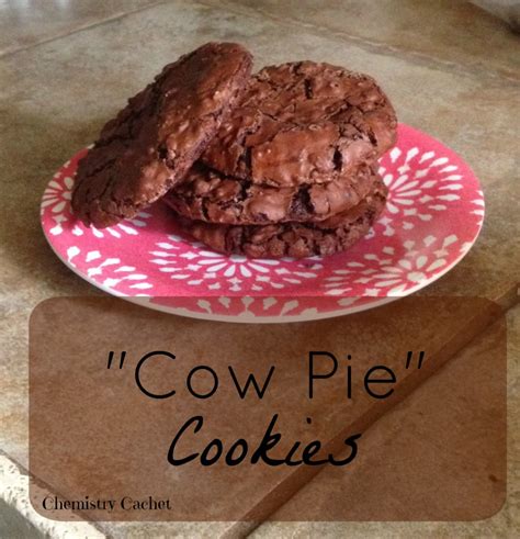 Cow Pie Cookies (heavenly chocolate cookies!)