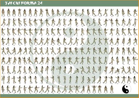 TaiJi Quan fomra 24 | Tai chi, Tai chi qigong, Tai chi movements