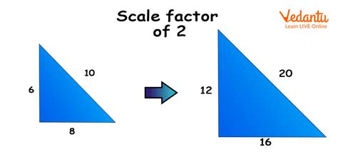 Scaling in Math - Definition, Types and Examples