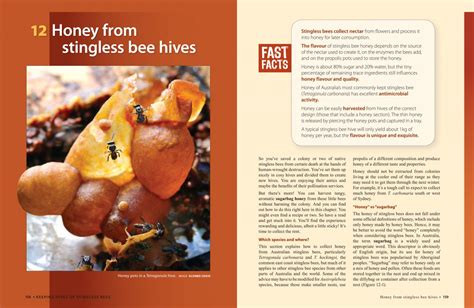 The Australian Native Bee Book: Keeping Stingless Bee Hives For Pets ...