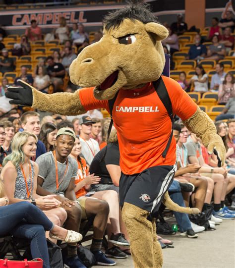 Our Camel Mascot - Traditions - Campbell University