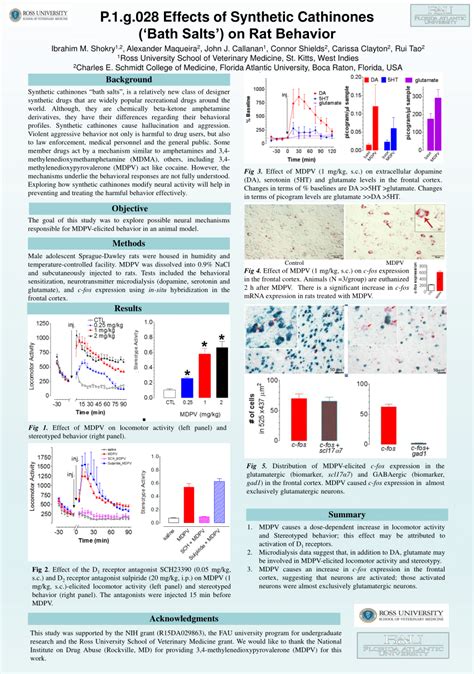 (PDF) Effects of synthetic cathinones ('bath salts') on rat behavior