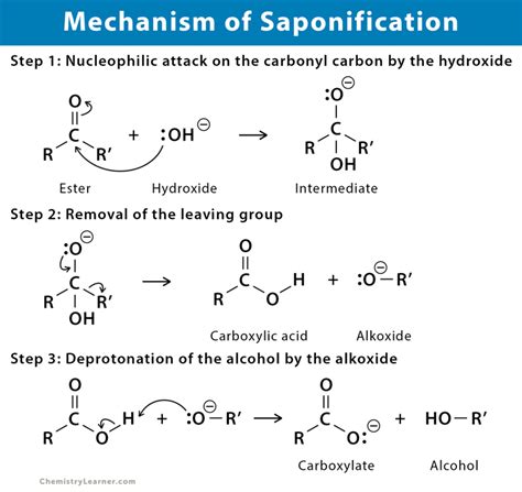 Saponification: Definition, Examples, Mechanism, & Application