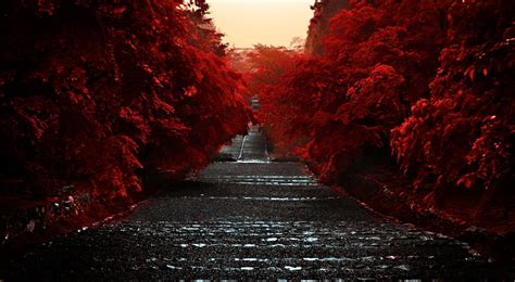 Japan Red Wallpapers - Wallpaper Cave