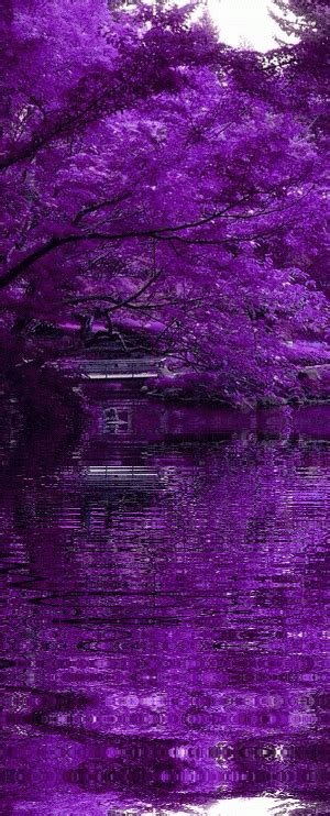 Purple, Violet, Фиолетовый.. Purple Love, All Things Purple, Shades Of ...