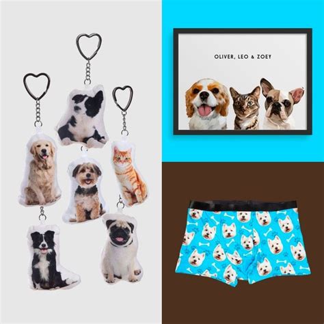 Reader's Digest | 25 Best Personalized Pet Gifts for 2021 — Gift Ideas for Dog & Cat Lovers