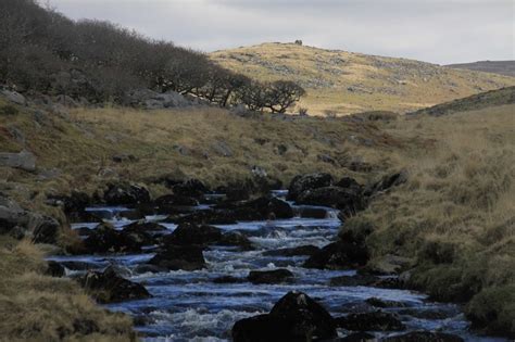 Best Dartmoor Wildlife, Dartmoor, Dartmoor National Park