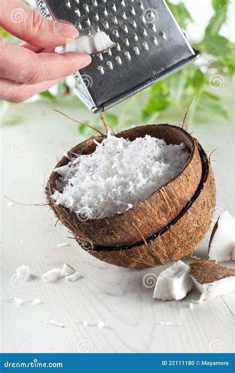 The Grater And Coconut Royalty-Free Stock Image | CartoonDealer.com ...