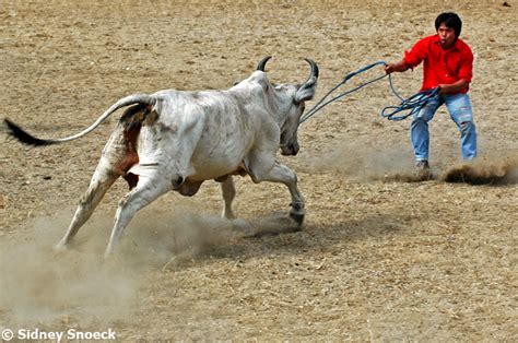 MASBATE | Rodeo Capital Of The Philippines | SkyscraperCity Forum