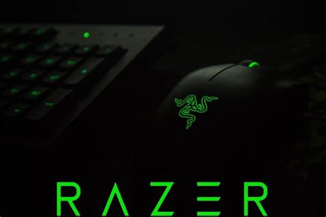 Razer Mouse Driver: Proper Installation Guide on Windows 10