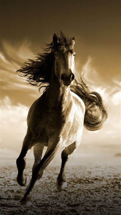 Running, horse, animal, 720x1280 wallpaper | Horse wallpaper, Beautiful horses, Horses