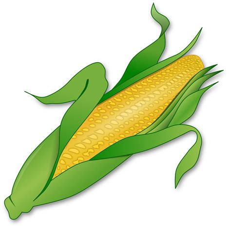 Clipart - Corn