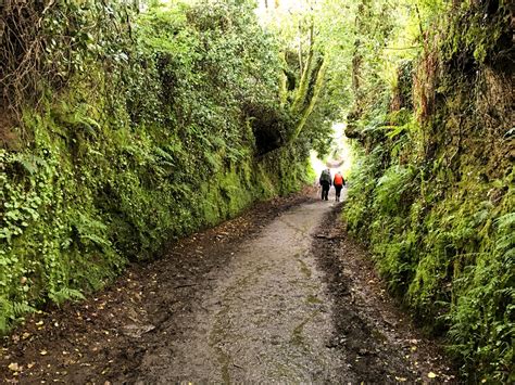 Camino de Santiago: Top Hiking Tips | Outsider Magazine