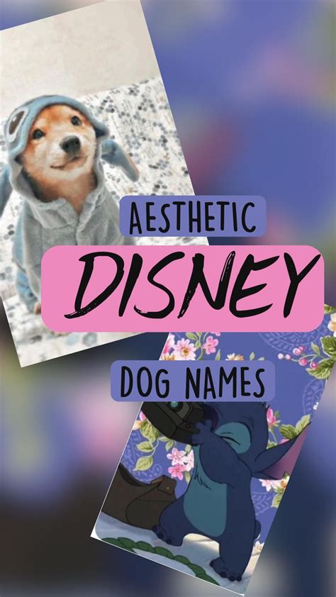 Aesthetic dog names – Artofit