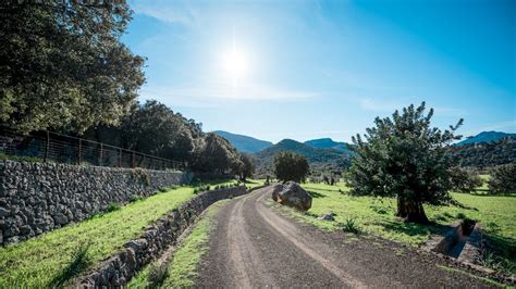 Best Hiking in Mallorca (Majorca) | SeeMallorca.com