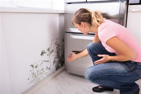 How to Check for Mold After Water Damage