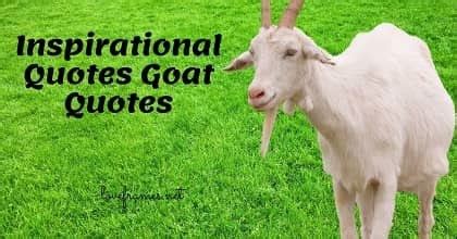 100 Greatest of all time Goat Quotes | Goat Quotes for Instagram