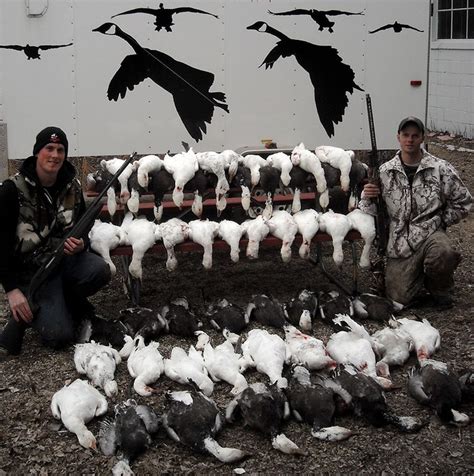 Snow Goose Hunting Photo Gallery