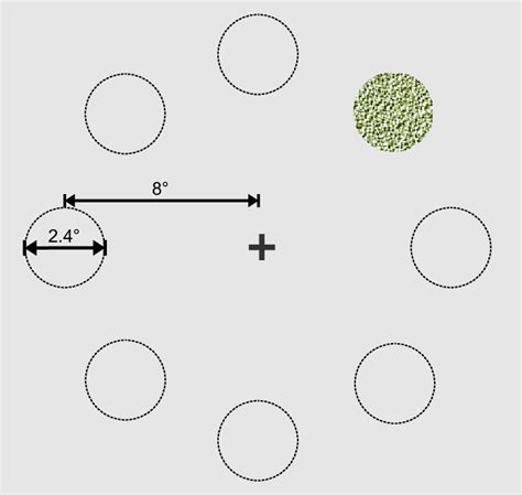 1: Psychophysical stimulus. a. A red fixation cross was presented at ...