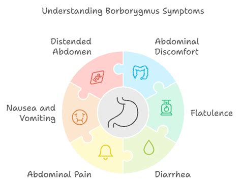 Borborygmus: Definition, Causes, & How to Get Rid of It - Allfit Well