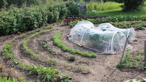 A Mandala Garden Plan and Layout: A Unique Spiral Garden | Almanac.com