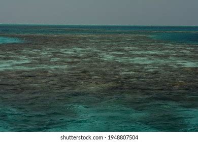 148 Lighthouse Reef Belize Images, Stock Photos & Vectors | Shutterstock