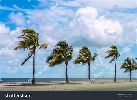 "gale-force_winds" Images, Stock Photos & Vectors | Shutterstock