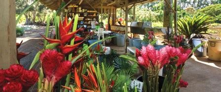 Maui Tropical Flowers | Tropical Flower Farms | Farm Tours