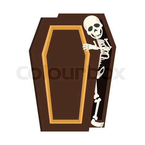 skeleton wake up in coffin cartoon | Stock vector | Colourbox