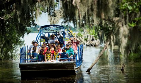 New Orleans Sumpftouren - die Heimat der Krokodile erkunden