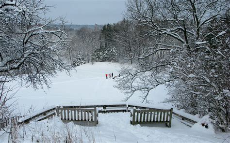 Winter in Ann Arbor, Michigan photo on Sunsurfer