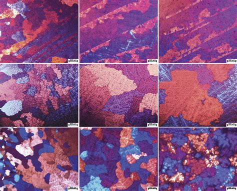 Micrographs of radial cross sections of the edge (a, d and g), the 1/2 ...