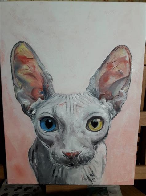 Sphynx cat art painting Sphynx cat portrait different eyes | Etsy