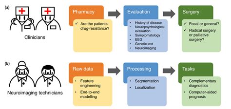 Workflow of epilepsy diagnosis for clinicians and neuroimaging ...