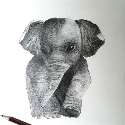 Dibujos de Animales Realistas Lápiz sobre Hoja Blanca | Domestika