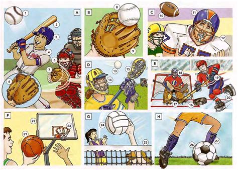 Learn Vocabulary Through Pictures - Team Sports Equipment - English ...