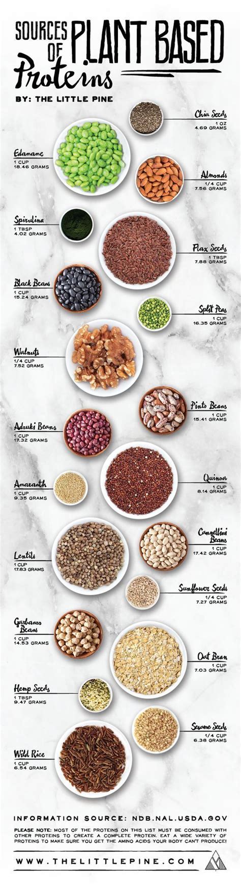 Say what?! There's protein in nuts, seeds, beans and grains? You betcha ...