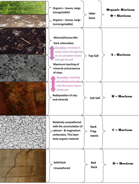 Learning Geology: Soil Profiles And Soil Properties