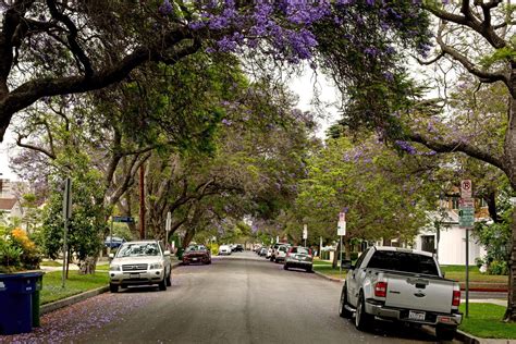 Neighborhood Spotlight: Rancho Park takes its spot in a post-modest world - Los Angeles Times