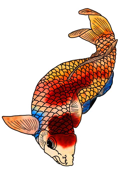 Colorful Koi Fish Drawings