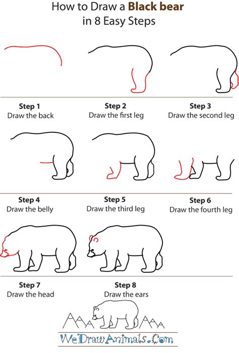 Polar Bear Drawing Step By Step at PaintingValley.com | Explore collection of Polar Bear Drawing ...