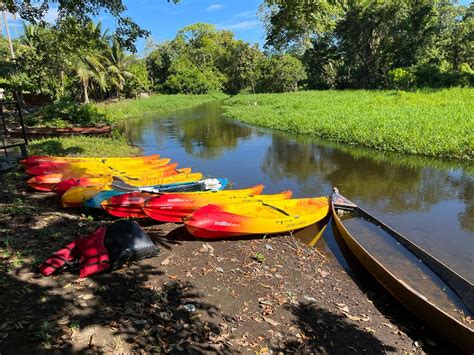 El Naranjo Wildlife Tour: 3hrs – 8:00AM – Black Sand Kayaks